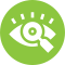 Vision Icon